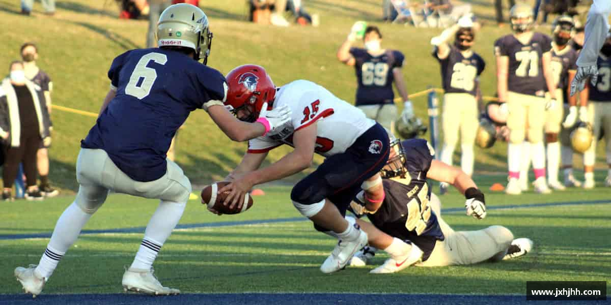 介绍芒果(mangosport)体育